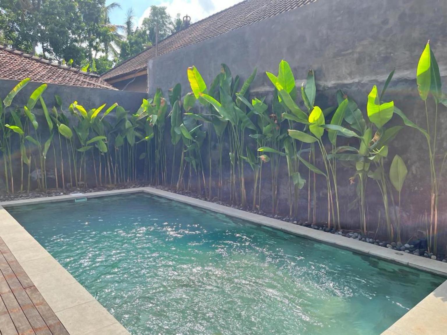 Pondok Eka Wood Ubud  Bilik gambar